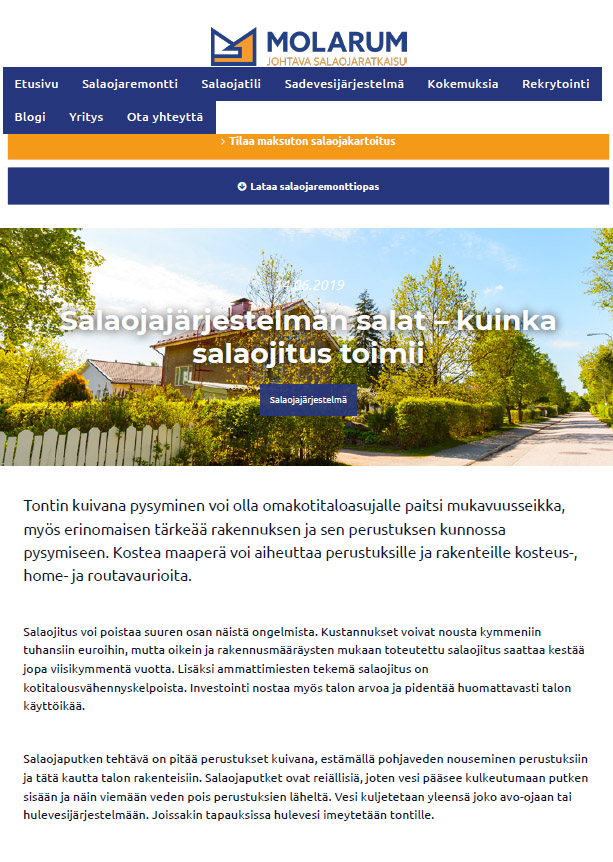 Molarum-verkkosivut / blog and content writer  Finnish language content and blog writer available molarum salaojansalat
